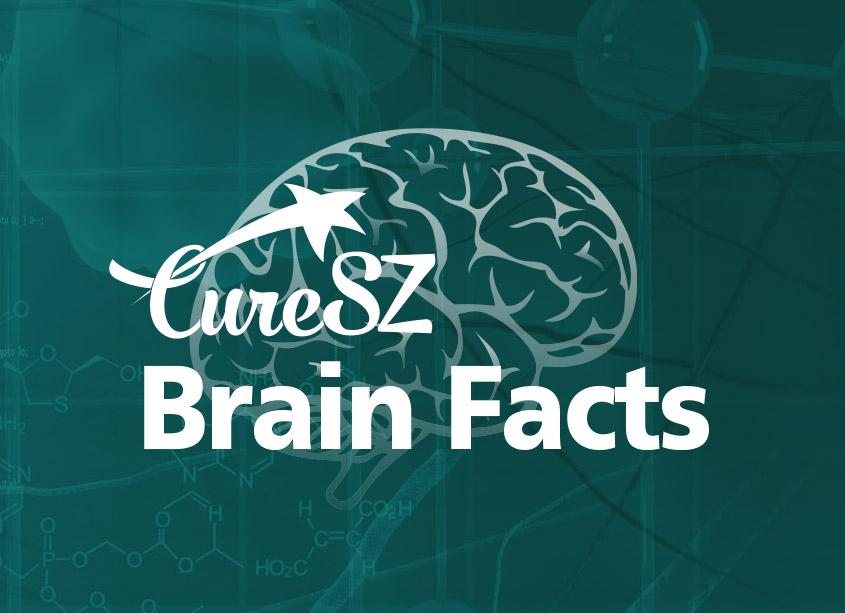 CureSZ Brain Facts logo