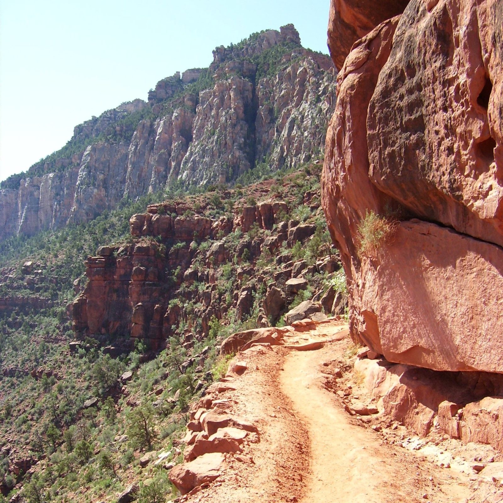 Portrait of Mountain